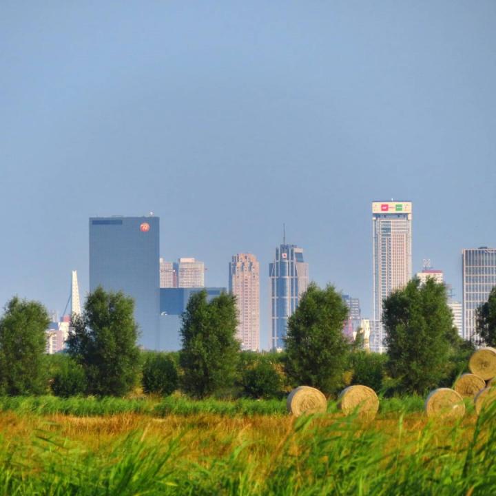 Foto van de skyline van Rotterdam