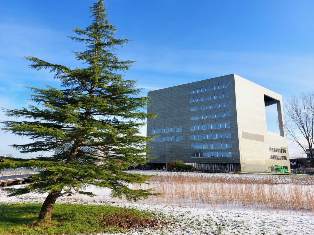 Foto van een zonnige, licht besneeuwde campus van de Wageningen Universiteit